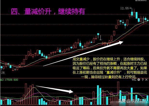 股市成交量分析_股票里什么是成交量_成交量与股价关系