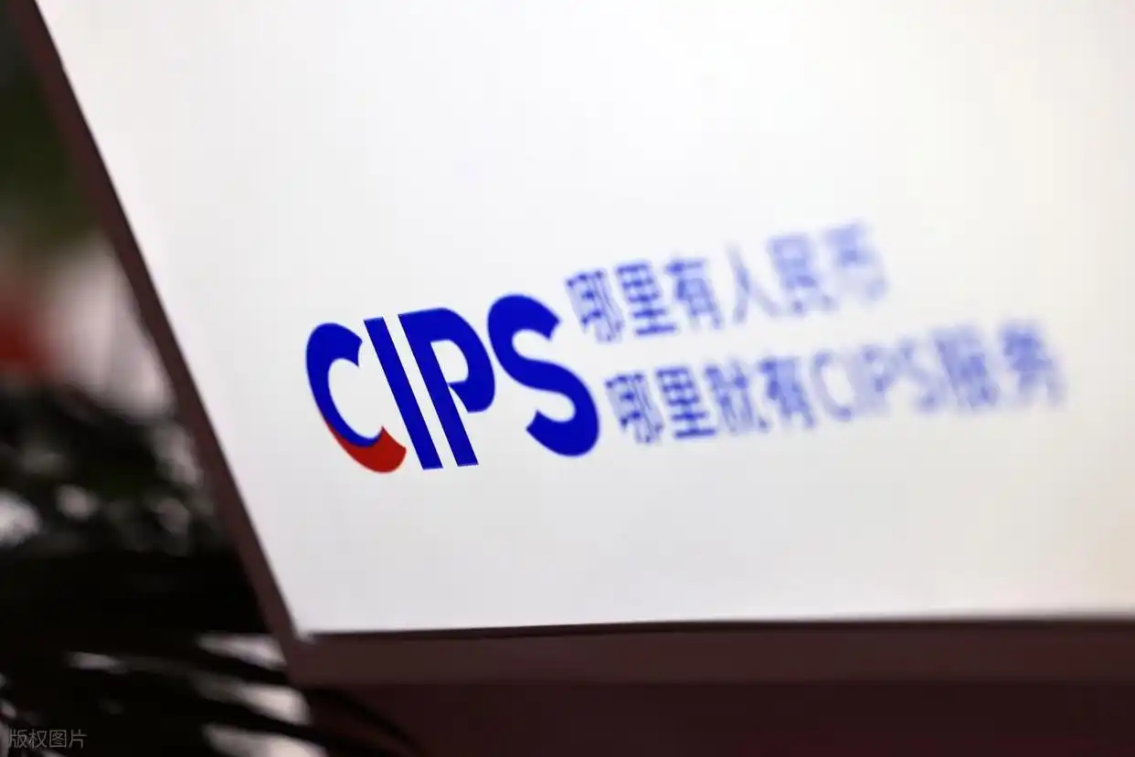 SWIFT统计口径差异_境内外币支付系统fcps_人民币全球支付份额排名