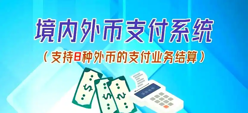 央行支付系统 中国现代化支付系统 CNAPS_大额实时支付系统 HVPS 小额支付系统 BEPS_境内外币支付系统fcps