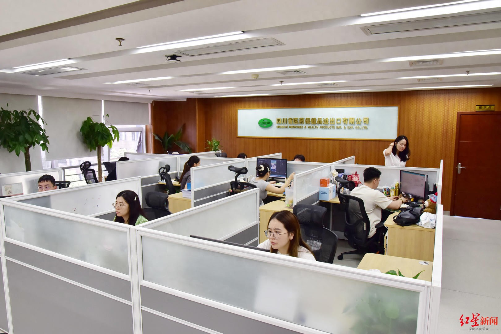 出口远期结汇_免申即享 政策兑现 外汇衍生品补贴