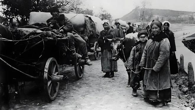 国内大型的黄金外汇交易公司_俄罗斯黄金储备历史_俄罗斯黄金储备增长策略