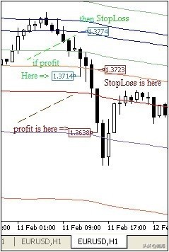 斐波那契动态水平止损_逐步仓位跟踪法_黄金外汇交易基础知识