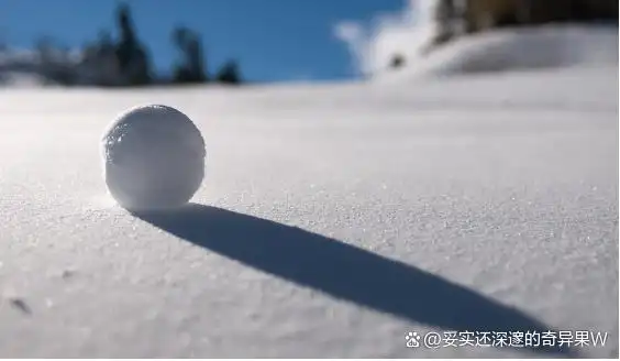 财务分析软件 股票_免费选股软件 东方财富通 同花顺雪球