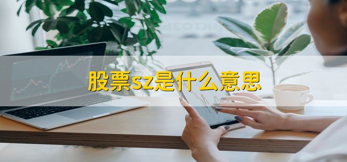 股票sz是什么意思，深圳股票