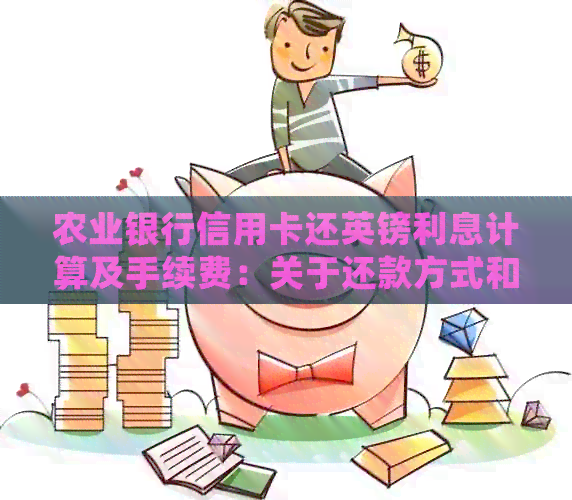 农业银行信用卡还英镑利息计算及手续费：关于还款方式和费用的详细解释