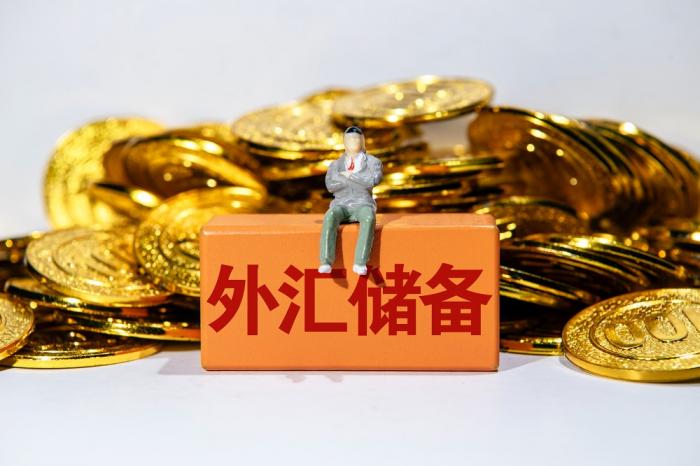 中国外汇市场构成_外汇储备下降原因_国家干预汇市效果