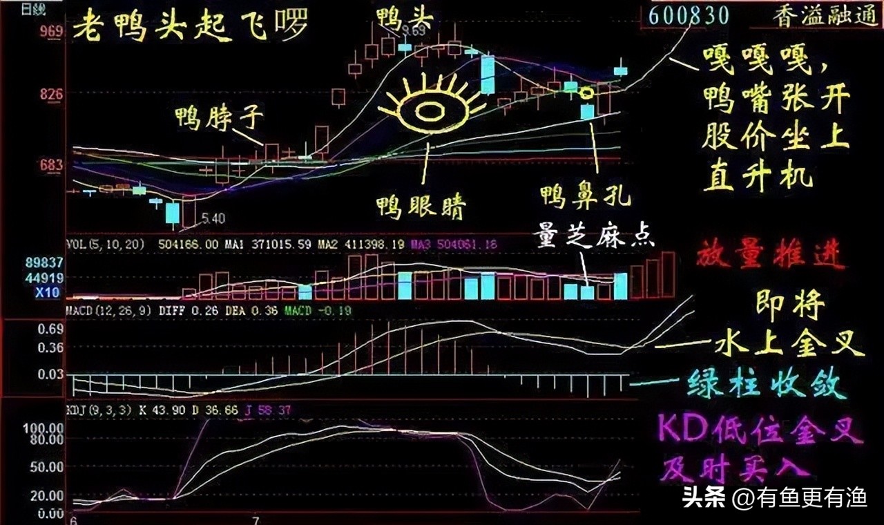 股票老鸭头形态图解好不好_投资成功关键_交易不犯错
