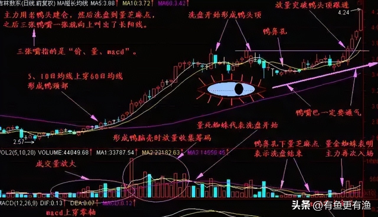 股票老鸭头形态图解好不好_投资成功关键_交易不犯错