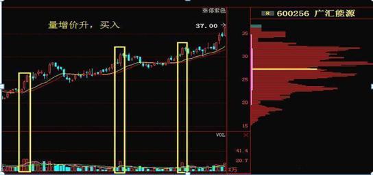 量价关系口诀_头寸一般下多少_高位无量就要拿