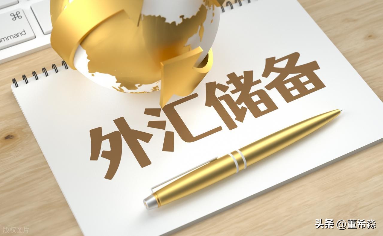 央行外汇储备规模管控_外汇储备美元数波动分析_国际储备和外汇储备